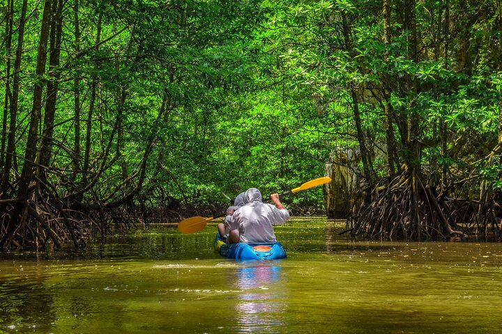 Mangrove Kayak Tour | Manuel Antonio - Photo 1 of 15